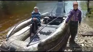 очередное видео с Амурской области. Василий приве👋 Спасибо за видео🤝