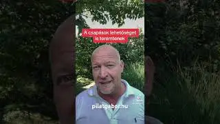 A csapások lehetőséget is teremtenek
