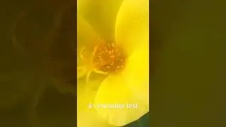 4× zooming testing