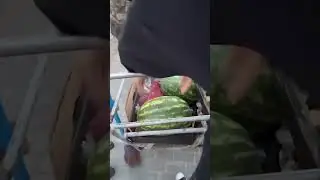 Украли Арбуз | 