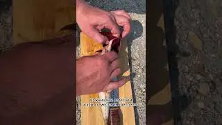 РАЗДЕЛКА РЫБЫ, не разрезая брюшка 