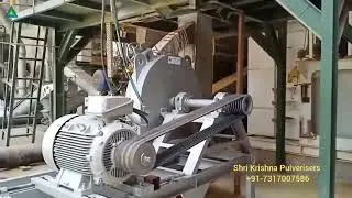 PIN MILL Grinding Gluten