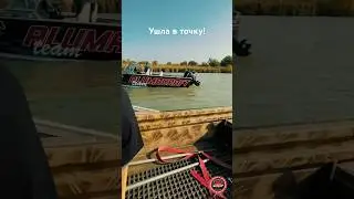 Чуда не произошло😂 