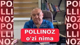 Pollinoz o'zi nima?