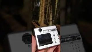 Are Digicams The New Point And Shoot Replacement To Film?
