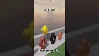 POV: Duck Chase (fixed size)! 🐥