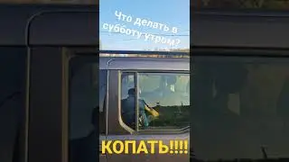 Чем заняться утром в субботний день?