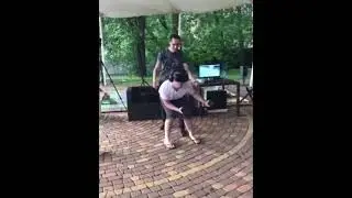 геймер