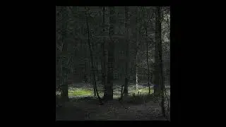 [FREE] LiL Peep x Lil Tracy Type Beat - 