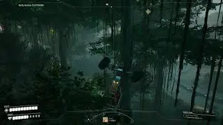 cars can climb tree's now