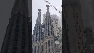 19 марта 2024 г.