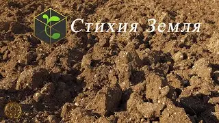 Осознанная медитация. Энергия Стихии Земля. Практика заземления.