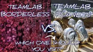 TeamLab Borderless vs TeamLab Planets: Which is Better?