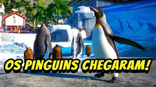 OS PINGUINS-REIS CHEGARAM no Zoológico Aquático - Planet Zoo Aquatic Pack
