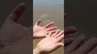 Азовское море 2024