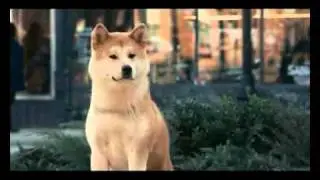 Hatiko.avi