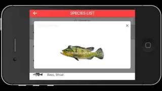 эхолот Fish Hunter PRO дополнительные функции