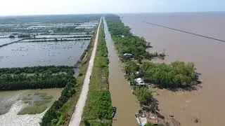 Coast at Tieu Dua, Huong Mai 1, Ca Mau (15/01/2018)