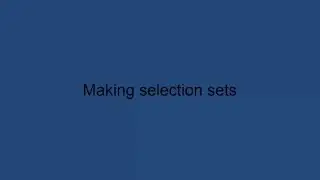 17   Making selection sets