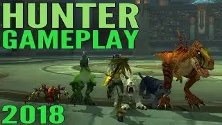 WoW Hunter Gameplay 2018 - Marksman, Survival, & Beast Master (All Specs) - World of Warcraft