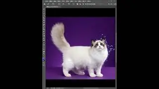 photoshop tutorials cs6 #27
