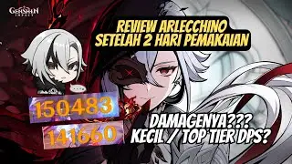 ARLECCHINO TOP TIER DPS?? ll Penampakan setelah 2 hari dapet Arlecchino #genshinimpact #arlecchino