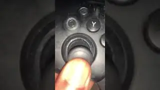 Nintendo Switch pro controller Easter egg.