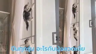 เรากำลังฝึกทักษะ การโรยตัวครับแม่