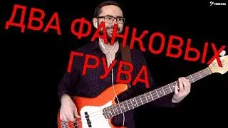 Два фанковых грува для бас гитары