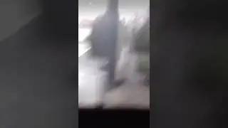 Я хомяк хахаха