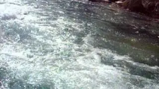 Rafting Tarom - avg 2010.