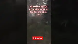 dayz official server ps5