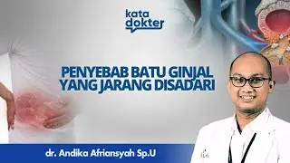 BAHAYA!! KURANG MINUM AIR PUTIH PENYEBAB BATU GINJAL l KATA DOKTER