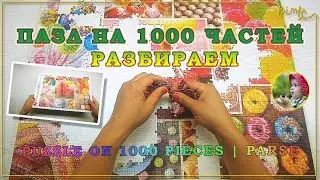 ПАЗЛ на 1000 частей | Разбираем