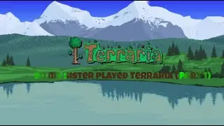 So my sister played terraria