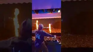 #alanwalker #live