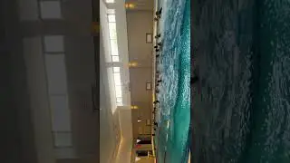 Выпуск 224 ахаххаха, слышали о таком?