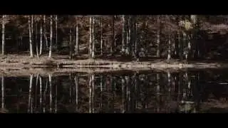 AVEC – Heartbeats EP Teaser