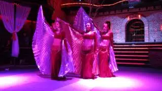 ODS Bastet. Show Belly Dance with Isis Wings