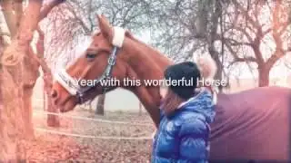 one year with Grace;