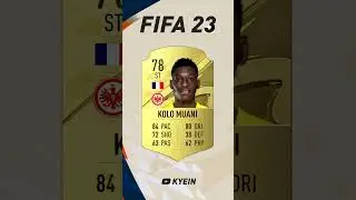 Randal Kolo Muani - FIFA Evolution (FIFA 19 - FIFA 23)