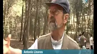 El parque del Morlaco sin AGUA