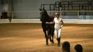 РВП Невский (Земфир) 2003 г.р. Заалкениг - Инерция