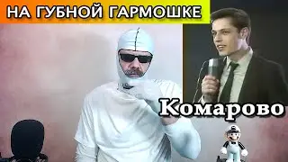 Комарово на губной гармошке