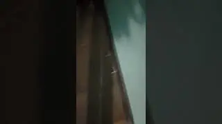 иду с рыбалки #рыбалка #fishing