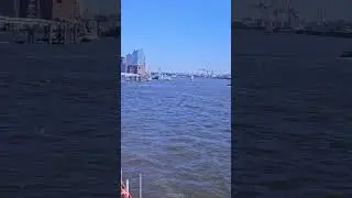 9 июня 2024 г.