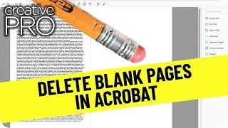 Delete Blank Pages in Acrobat ft. David Blatner // CreativePro Tutorial