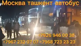 Москва ташкент автобус ташкент москва автобус санкт-петербург ташкент автобус