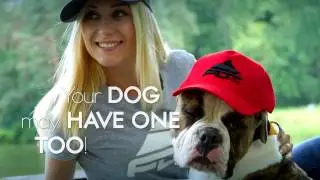 Brand New PRO Training Snapback Cap for Dog Lovers
