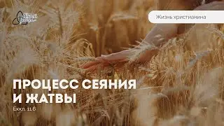 Процесс сеяния и жатвы в библейском контексте | Владимир Черкасов